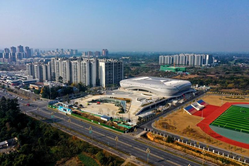 体育产业的活力与革新：体育发展公司的崛起